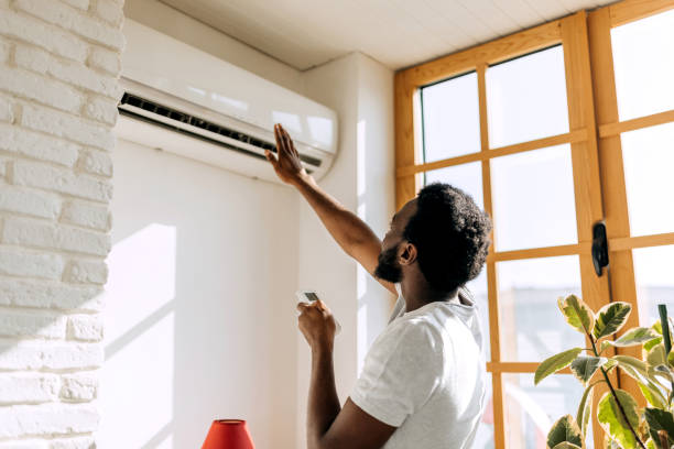 Best Ductless HVAC Repair  in Schler Park, IL